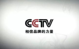 雷军 努力工作，克制贪婪——数字广告时代的智慧箴言